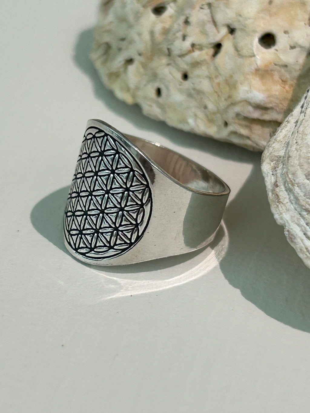 Anillo LISS - Diseño Minimalista y Elegante